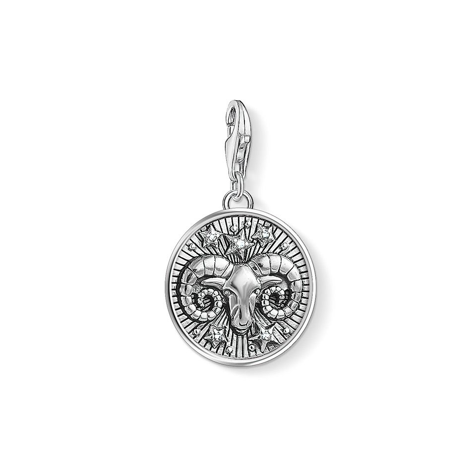 Berlock i äkta silver 13328