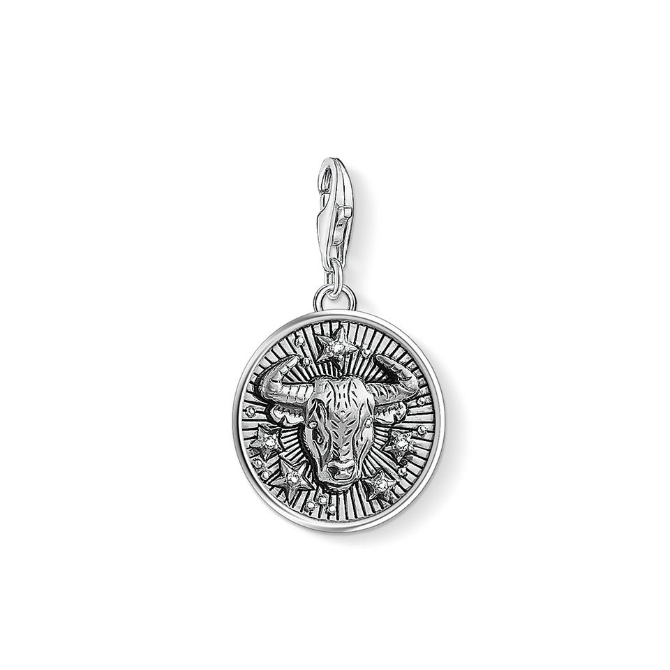 Berlock i äkta silver 13329