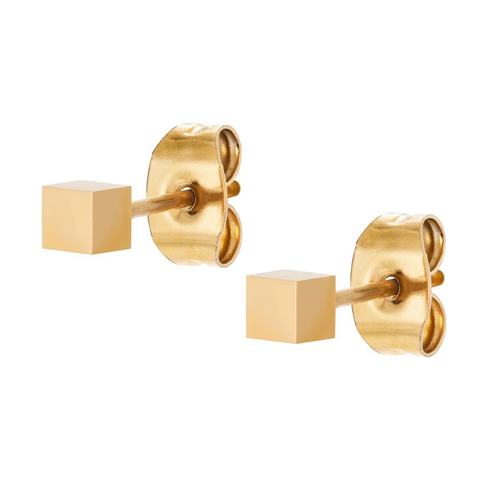 Örhängen stål Athena