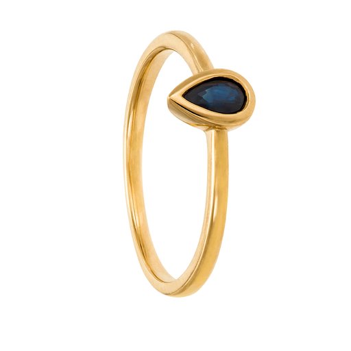 Ring i 18K guld, 20.0