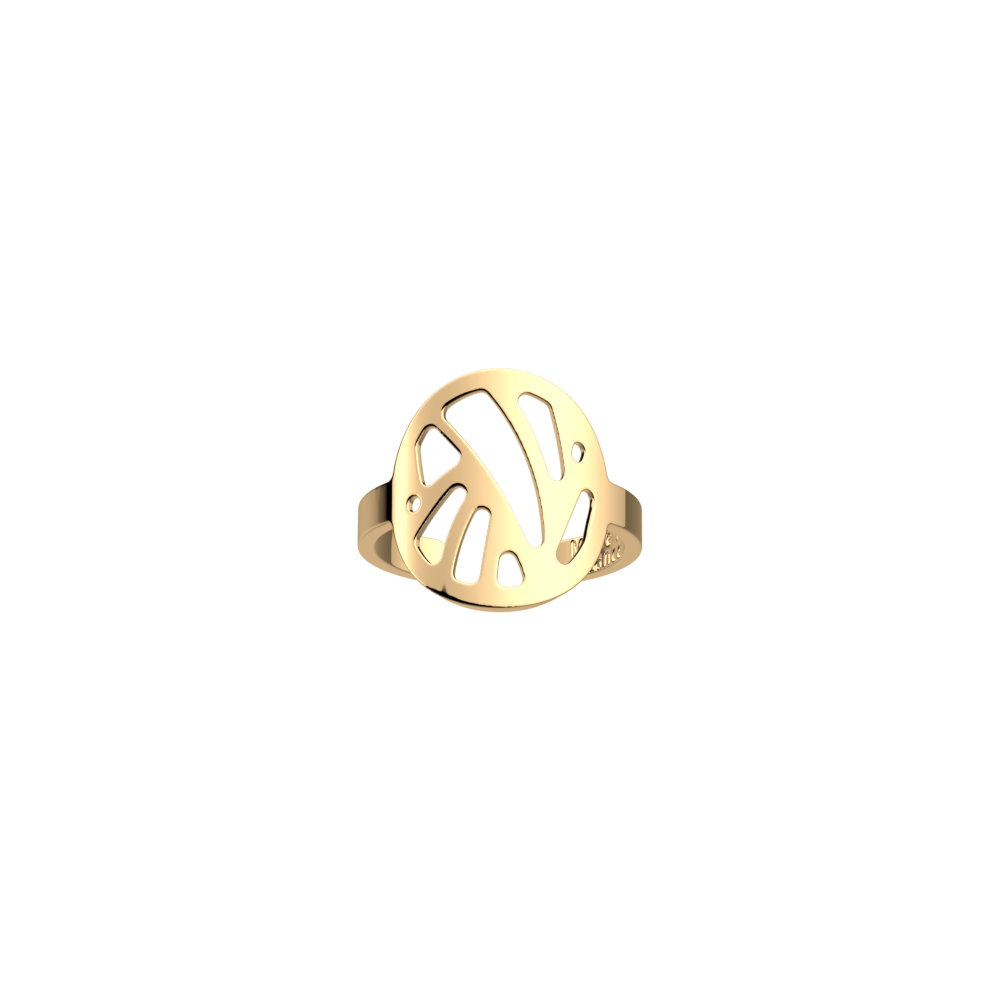 Ring Perroquet 16 mm, 19.0