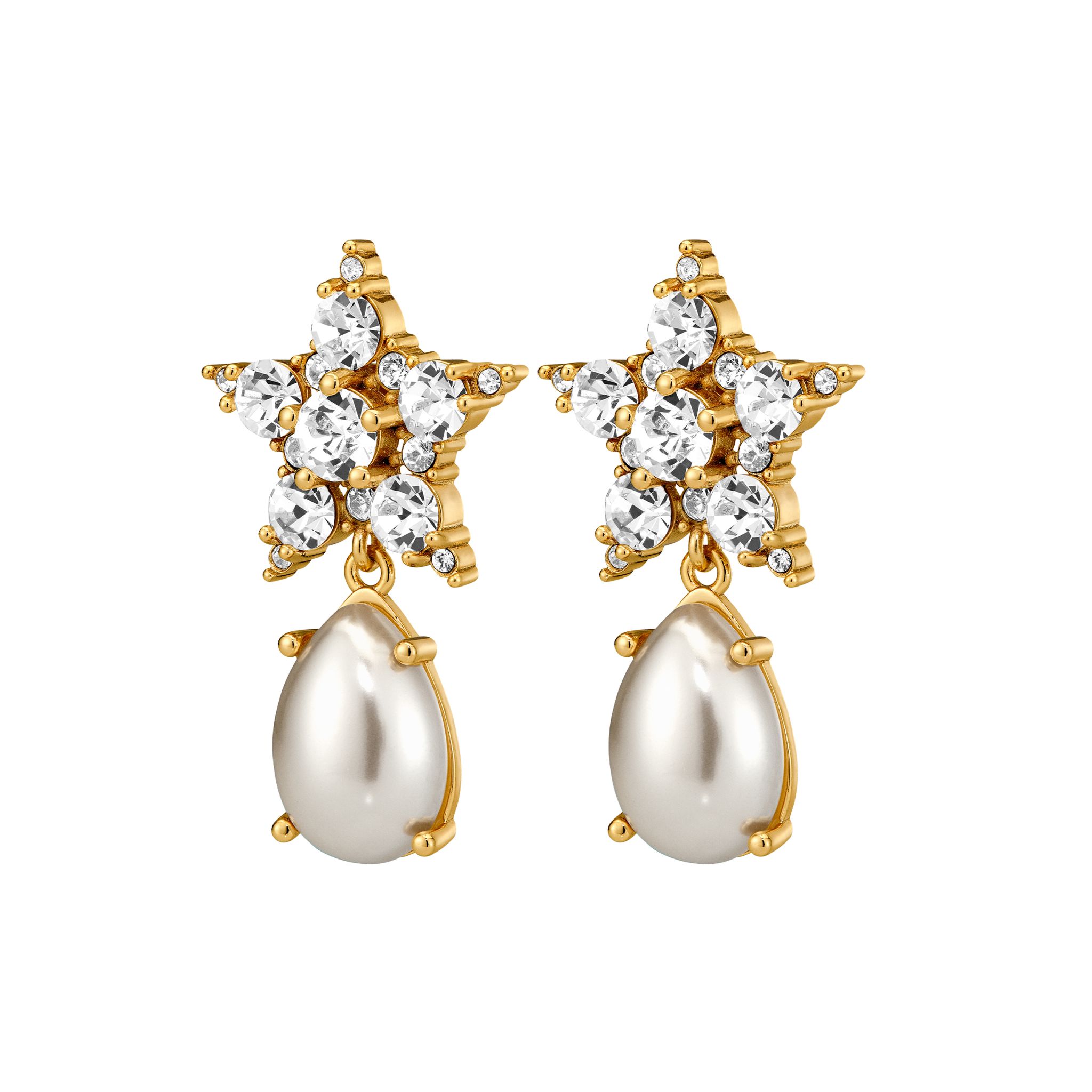 Örhängen Hydra 22106