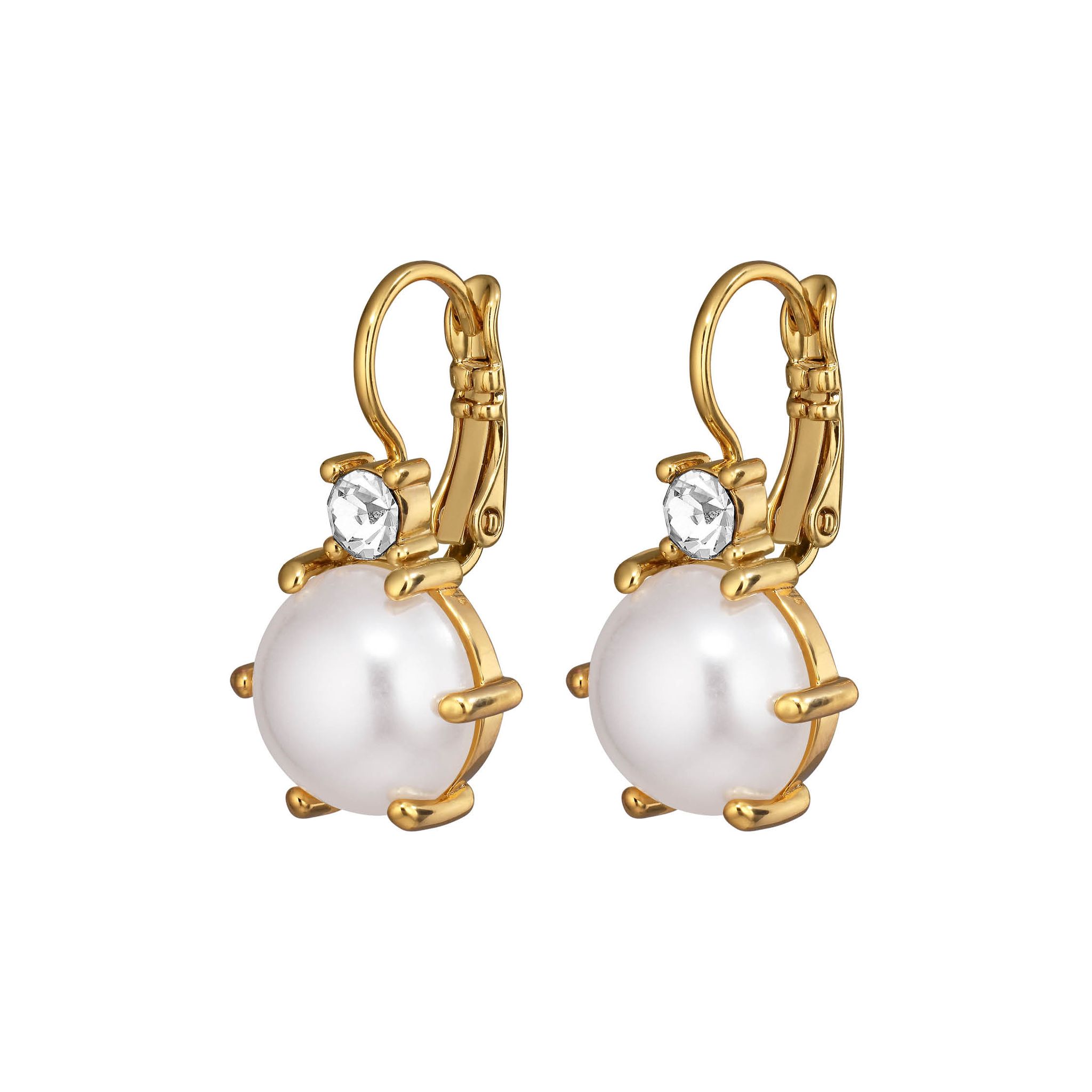 &Ouml;rh&auml;ngen Begonia