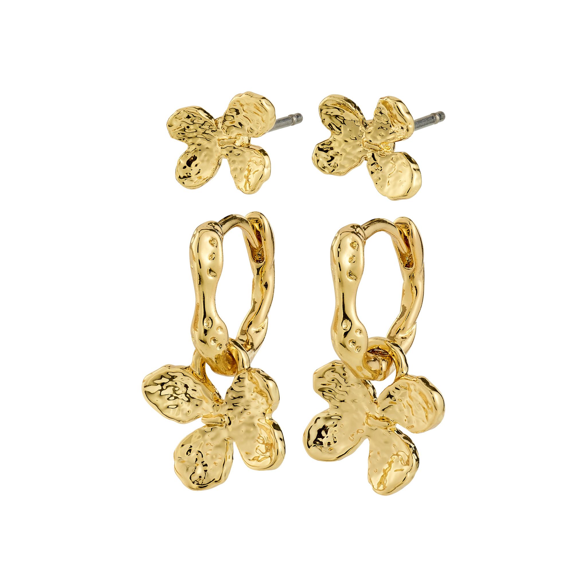 &Ouml;rh&auml;ngen Ajani