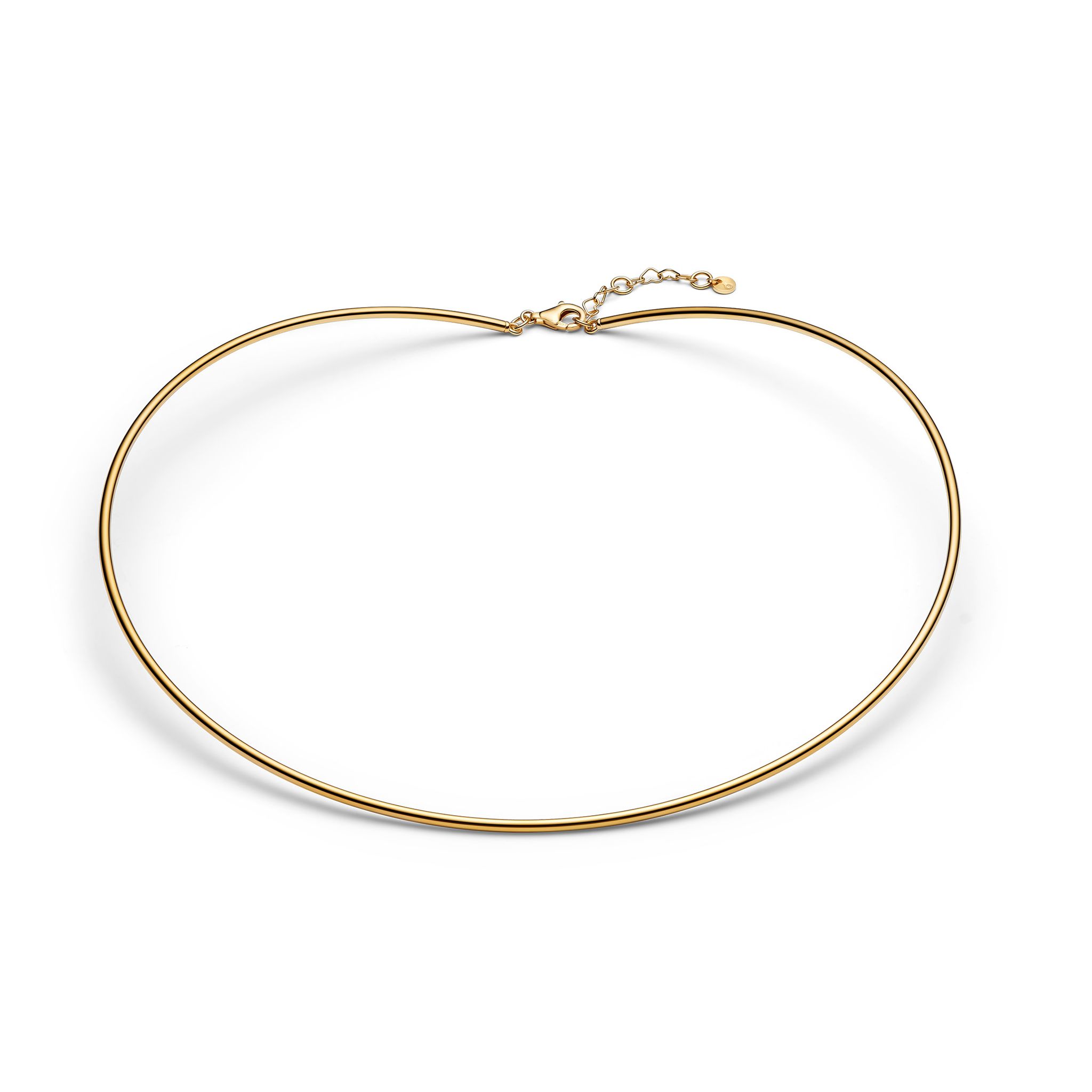 F&ouml;rgyllt chokerhalsband